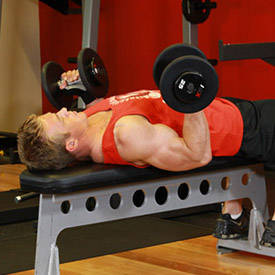 Lying Supine Dumbbell Curl
