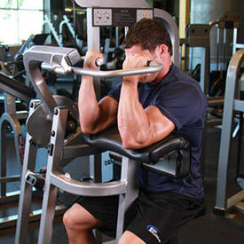 Machine Preacher Curls