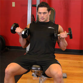 Sitting Dumbbell Curls