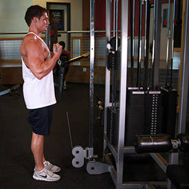 Standing Biceps Cable Curl