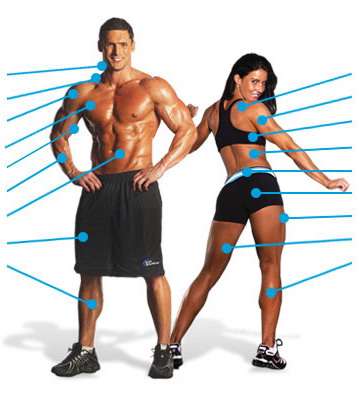 exerciseList