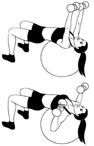 fitball08