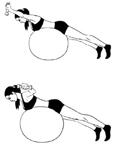 fitball16