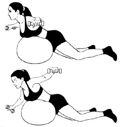 fitball19