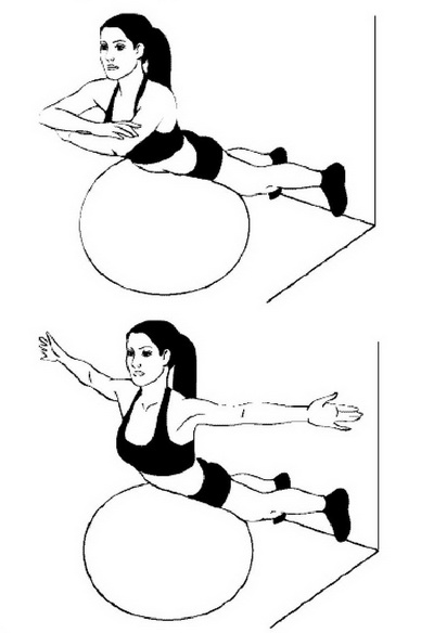 fitball21