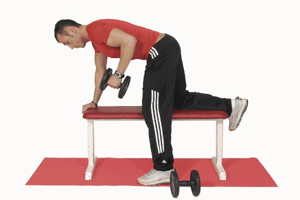 dumbbell_triceps_kickbacks