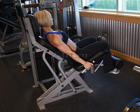 Leg Extensions