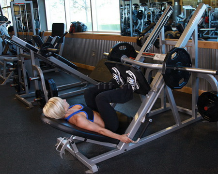 Leg Press