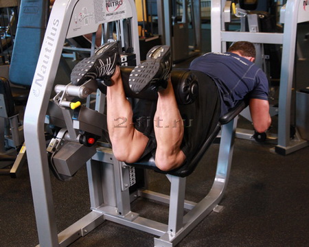 Lying Leg Curls