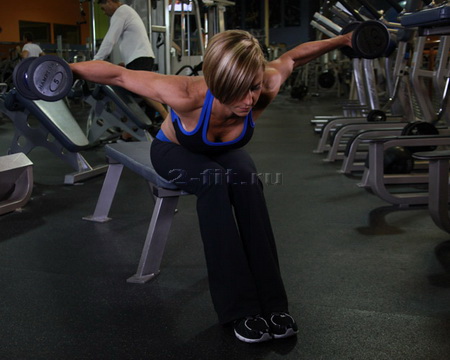 Seated Bent-Over Rear Delt Raise