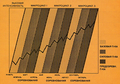 Концепция микроциклов